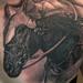 Tattoos - Shane's Horse - 87517